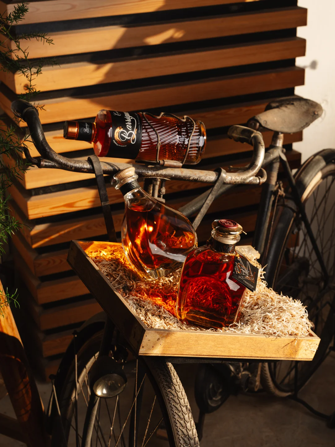 Liquore e bici in una composizione artistica